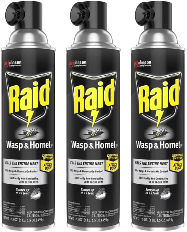 Raid Wasp & Hornet Killer – 17.5 oz, Pack of 3